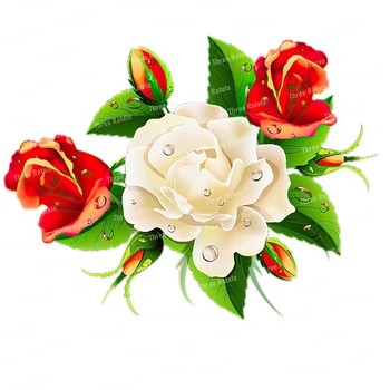 Three Ratels QCF246 Очарователен букет от рози 