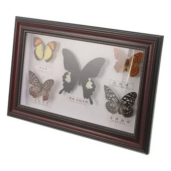 Рамка за снимки с образци на пеперуди, рамка за демонстрация на проби пеперуди, рамка за снимки с образци пеперуди за стена