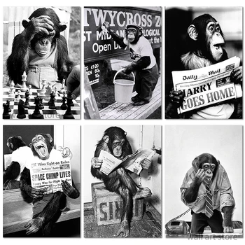 Черно-бялата маймуна, четене на вестници, която свири в шах, плакати, живопис върху платно, стена, живопис върху платно, Тоалетна, Декорация на дома